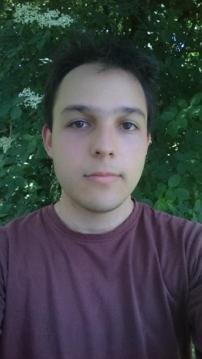 Leon Štok