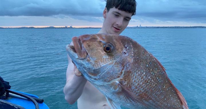 Saltwater Mafia