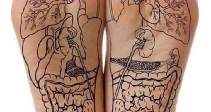 Reflexology For everyone