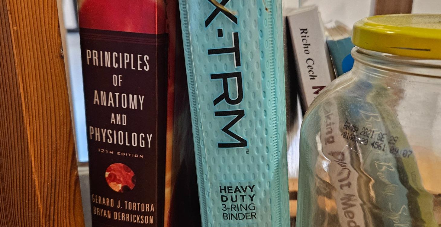 Anatomy and physiology 101