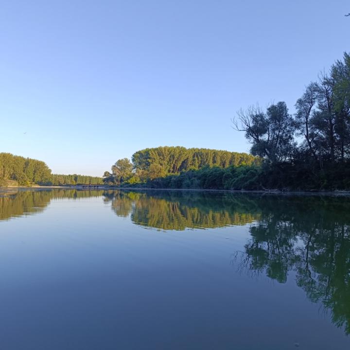 Fleiszné Pintér Mónika