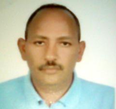 Ali Kahely