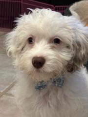 Dorothy Kugathayaparan