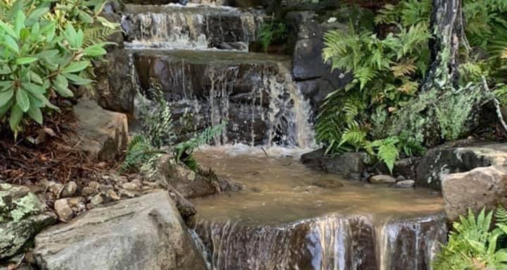 Real Talk w/ Pond Guy of South