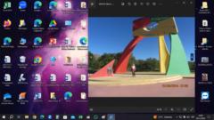 Maria rosa Traficante