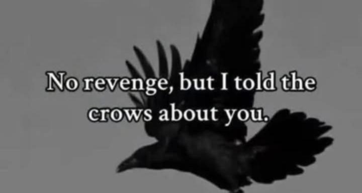 Poetry Prompts