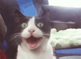 B S