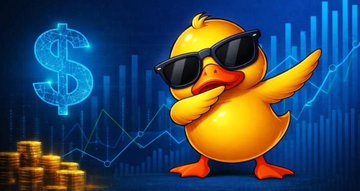 Duck's Trading
