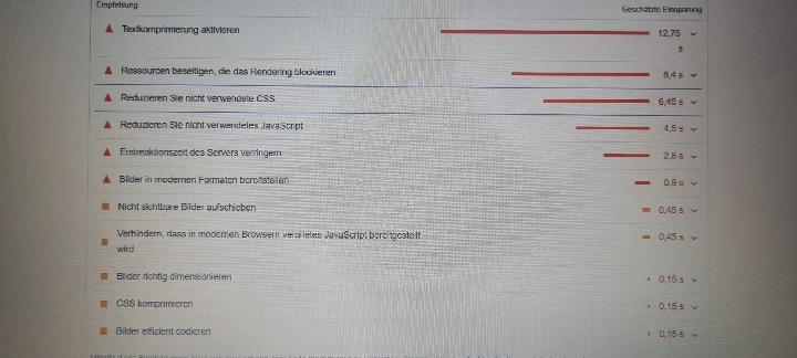 sehr schlechte Website Performance