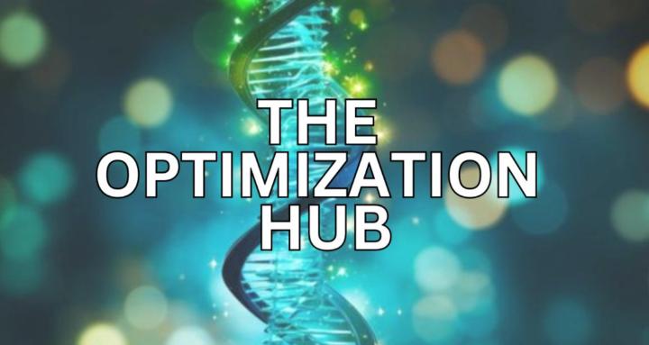 THE OPTIMIZATION HUB