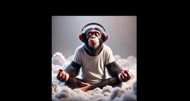 Cop-A-Squat Collective