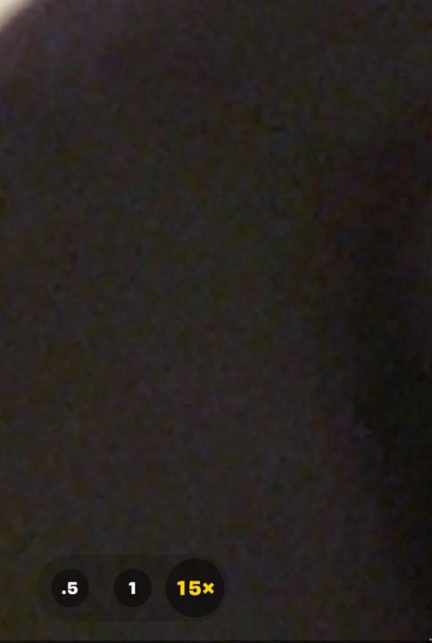 Corey L