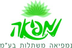 יורם בן עמי