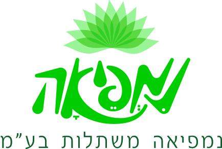 יורם בן עמי