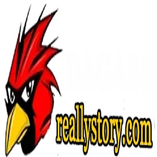 Đá gà Trực tiếp reallystory