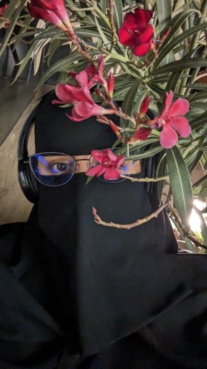 Zenah Alqahtani