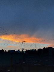 Abril Delgadillo