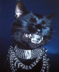 Carter Wahquahboshkuk