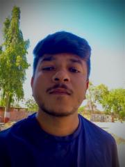Vinay Badgujar