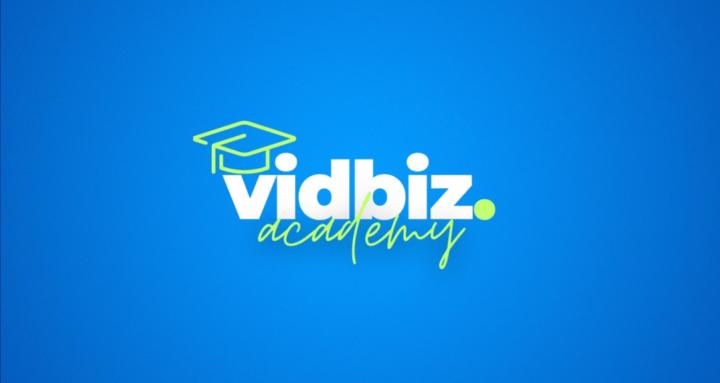 vidbiz