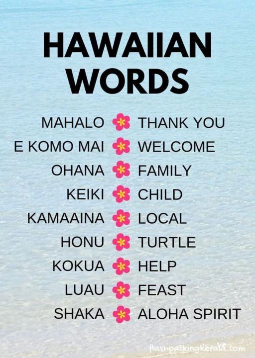 🌺 Hawaii Word Check 🇺🇸