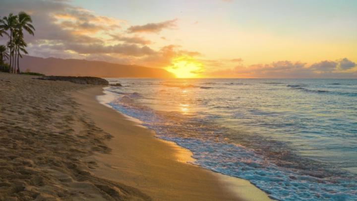 🌺 TRAVEL TUESDAY | When Is the Best Time to Visit Hawaii?