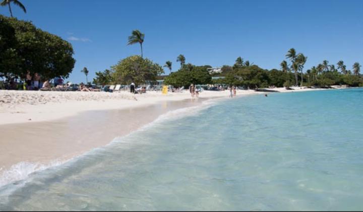 🌴 Destination Spotlight Drop