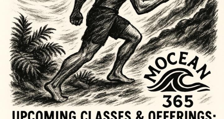 Mocean365