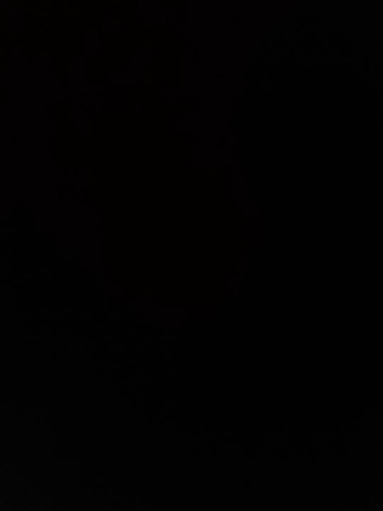 נועם רוזנפלד