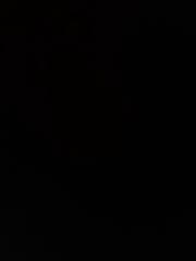 נועם רוזנפלד