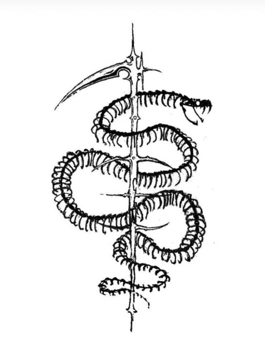 Adrian catalin Csibi