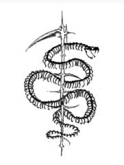 Adrian catalin Csibi