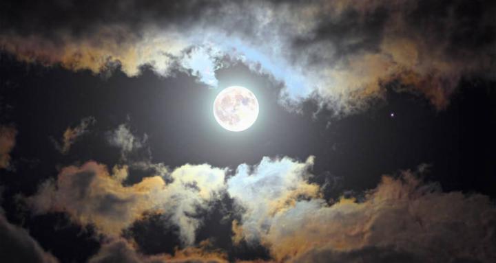 K. L. Tarot Readings