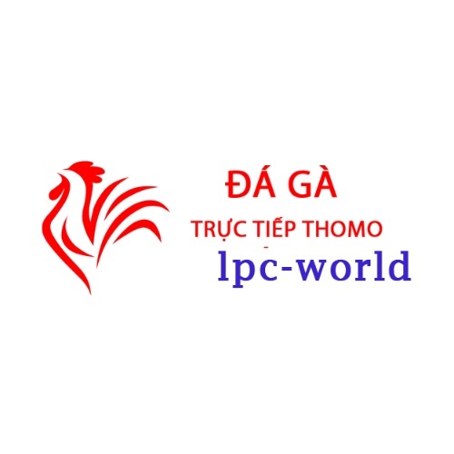 Đá Gà Trực Tiếp Thomo Hôm Nay