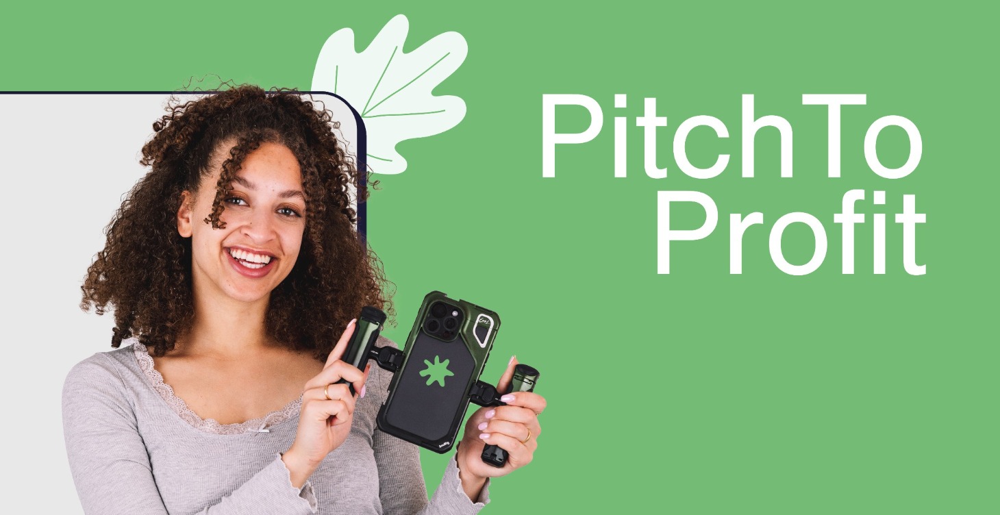 Pitch To Profit