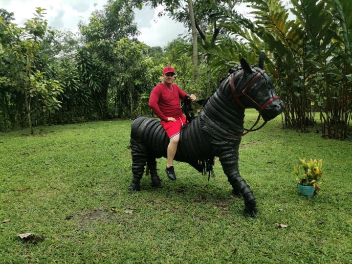 Elexis jesus Verdecia Palomares