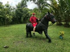 Elexis jesus Verdecia Palomares