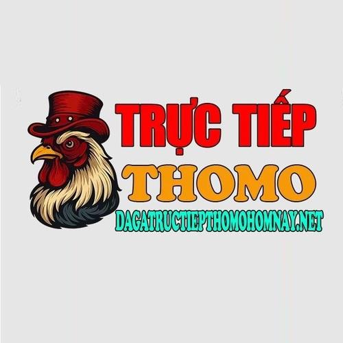 Đá gà trực tiếp Thomo hôm nay