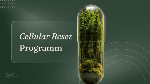 Cellular Reset gallery image