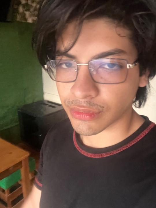 Diego Santos Guevara Segura