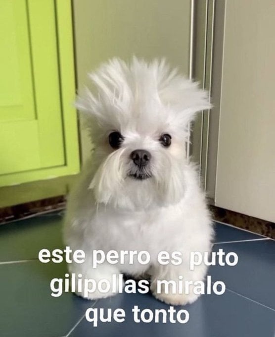 Valentino Montalvo