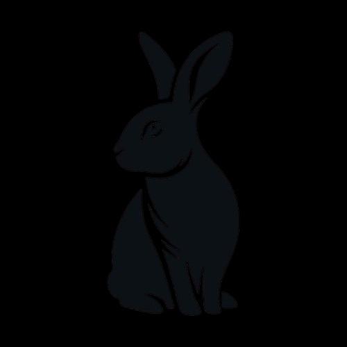 María Ignacia Suazo Alonso