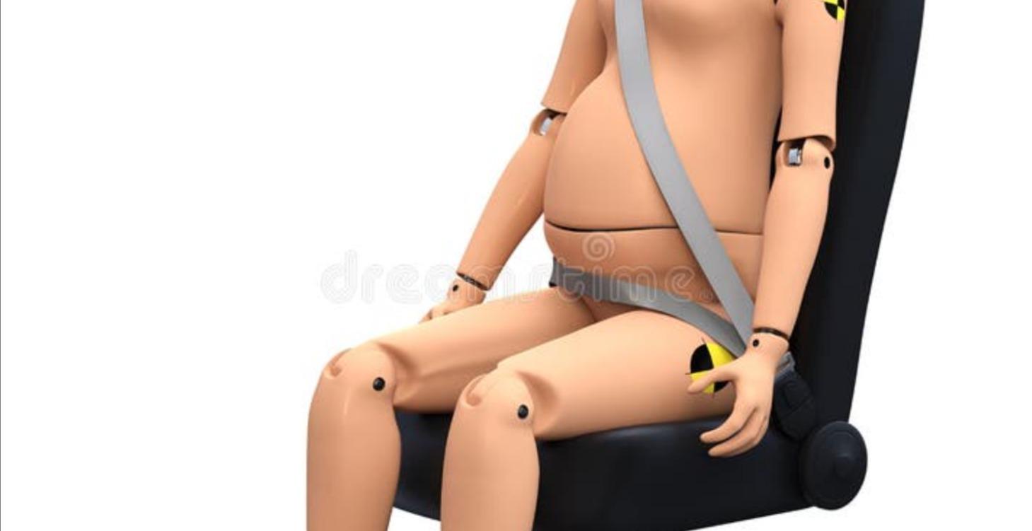 See if you restraints for you your child and pets