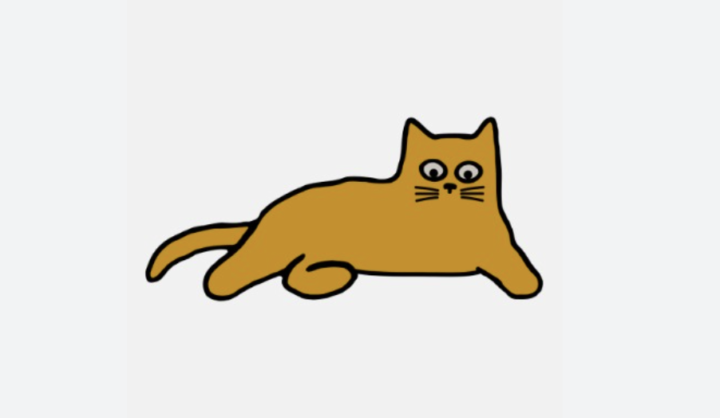 Want the Skool Cat?