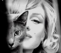 Giny Legeard