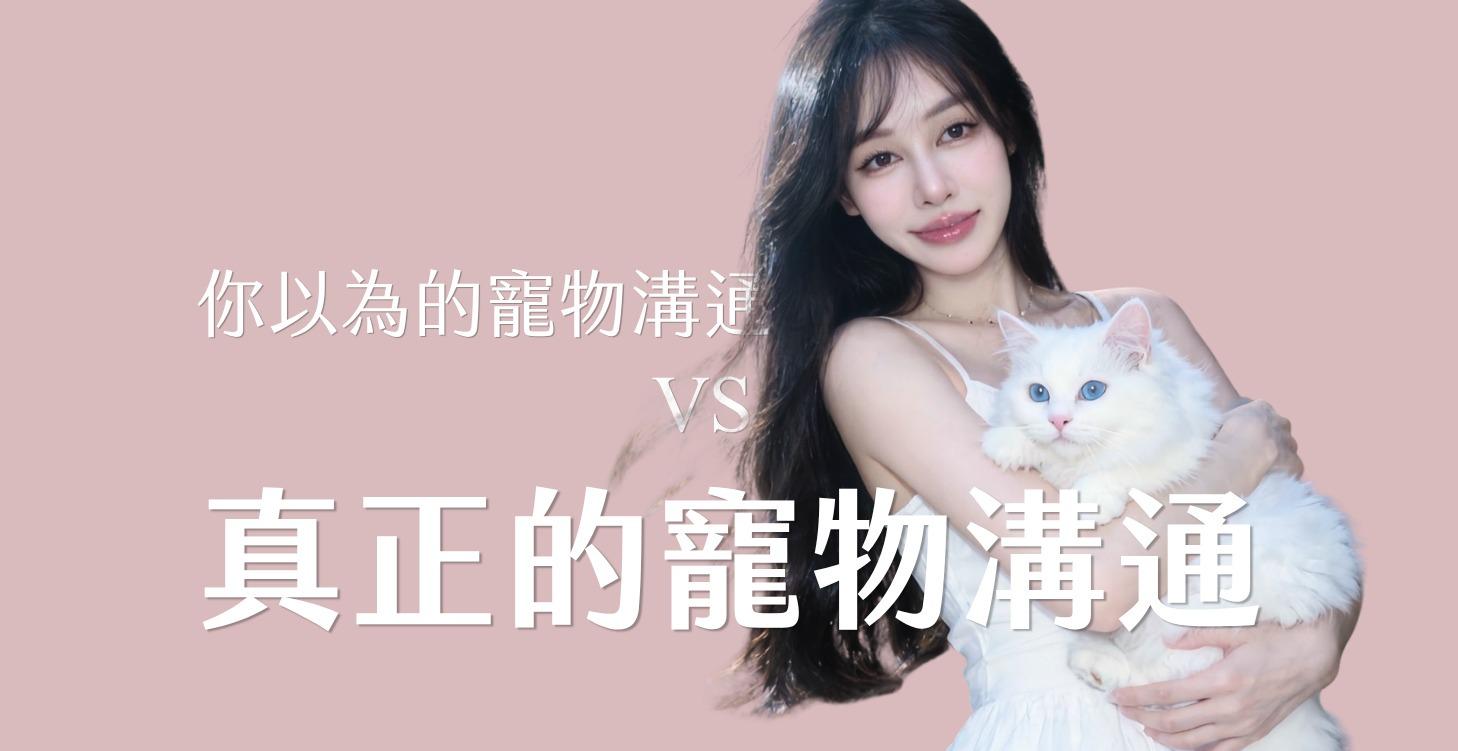 🐱真正的寵物溝通⁂