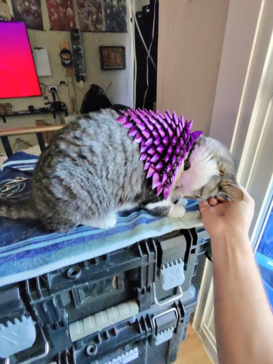 its like a weighted blanket to them, they seem to actually like it