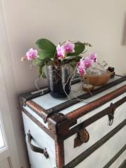 Michaela Beretta-Müller