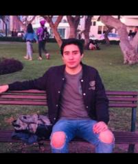 Luis armando Reyes Martinez