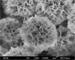 Nano Flowers